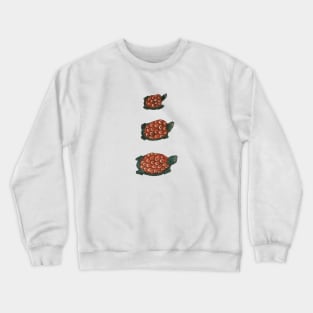 Three Turtles Crewneck Sweatshirt